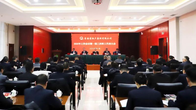 堅(jiān)定信心促發(fā)展 實(shí)干爭先攀新高&mdash;&mdash;省物產(chǎn)集團(tuán)2025年工作會議暨一屆三次職代會勝利召開