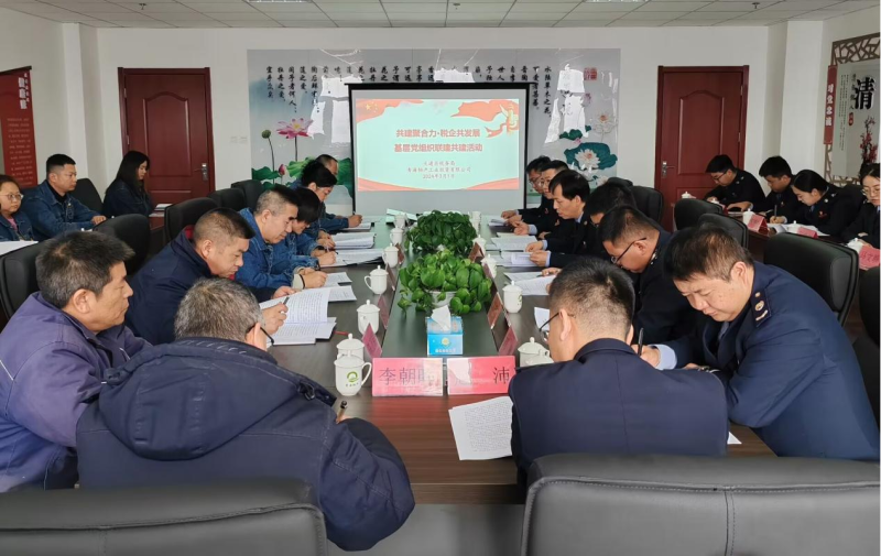 共建聚合力 稅企共發(fā)展&mdash;&mdash;工投公司舉辦基層黨組織聯(lián)建共建活動(dòng)